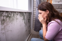 Top 6 Facts | Mold Removal and Reliable Inspection Services