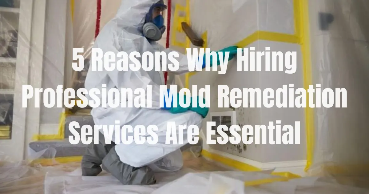 Expert Mold Remediation: Healthier Homes, Lower Costs