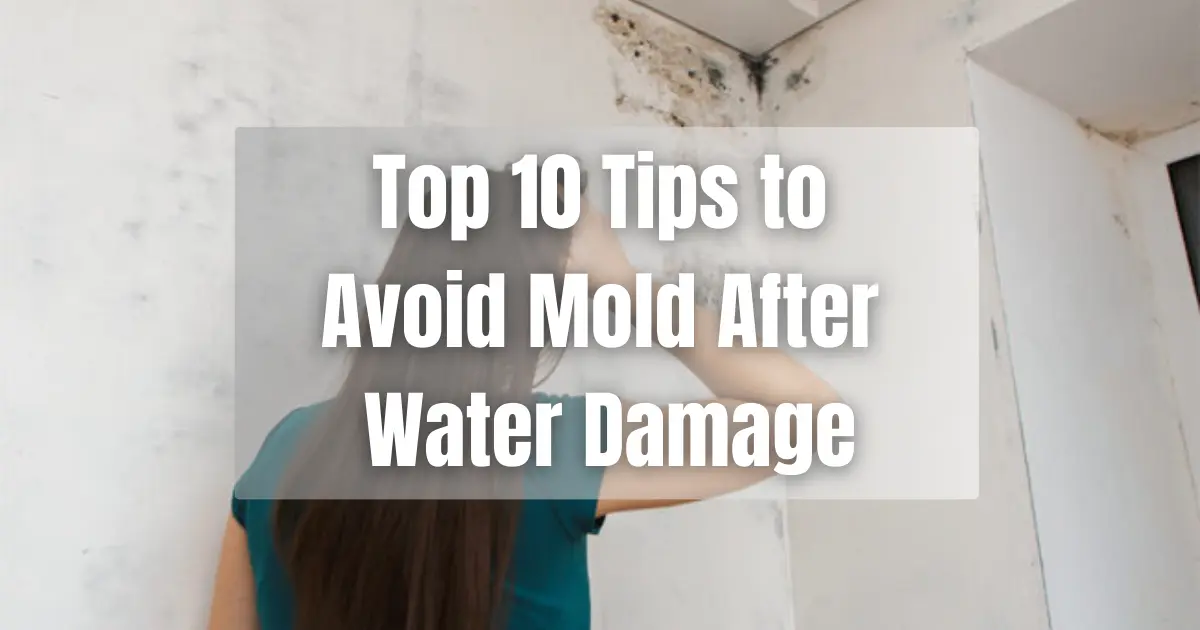 Top 10 Tips to Prevent Mold After Water Damage