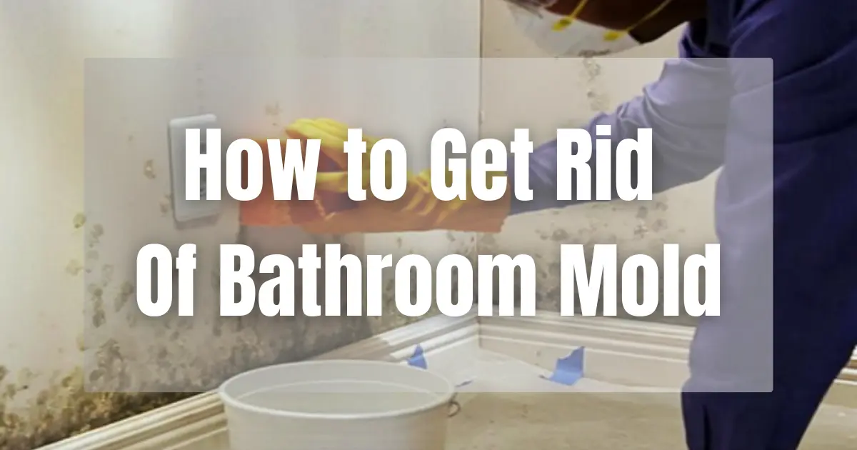 Tips  On How to Get Rid Of Bathroom Mold