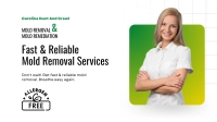 Mold removal & Restoration Services - Carolina Duct and Crawl