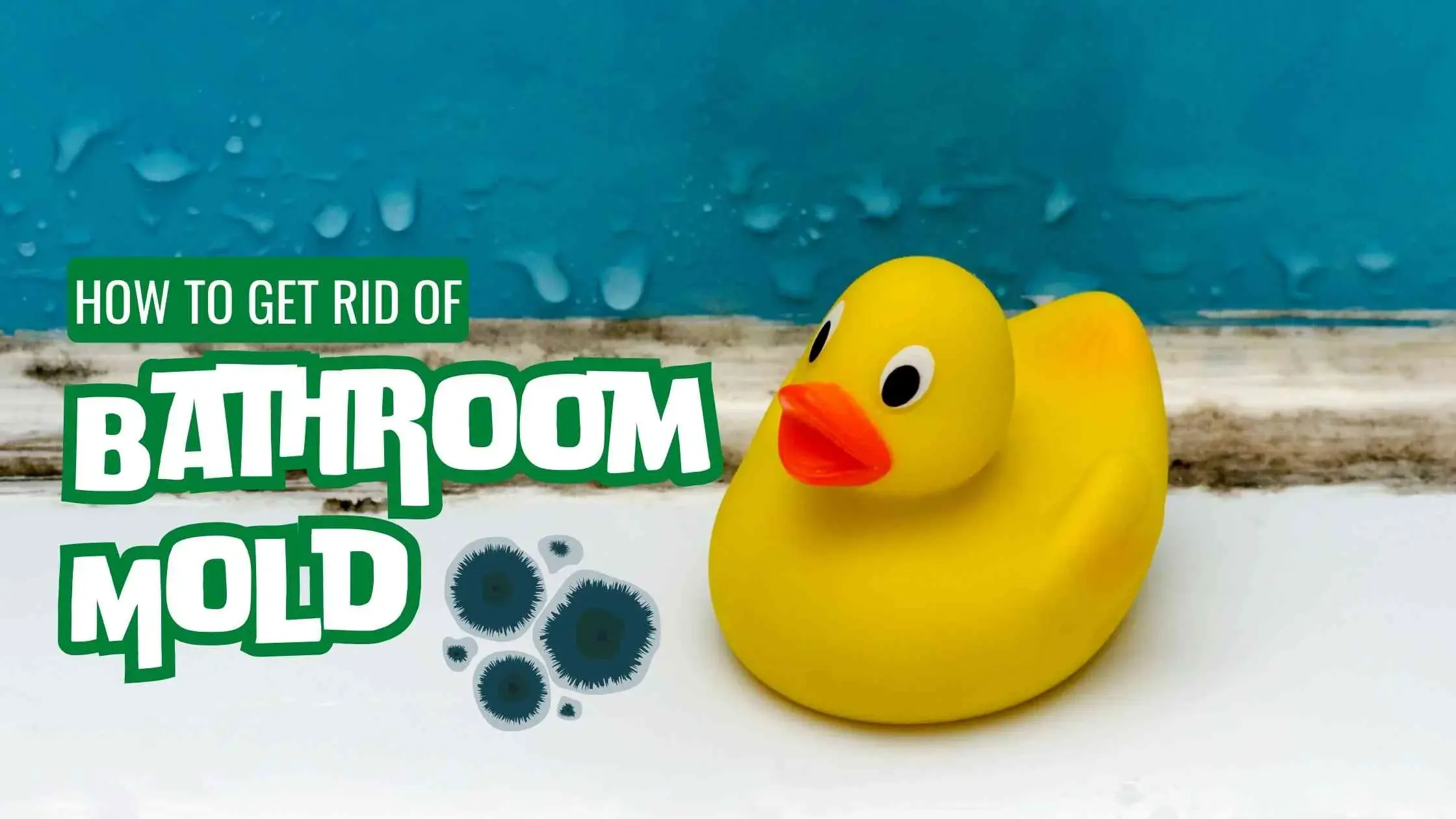 Tips On How to Get Rid Of Bathroom Mold