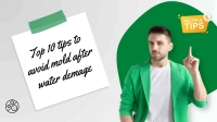 Top 10 Tips to Prevent Mold After Water Damage