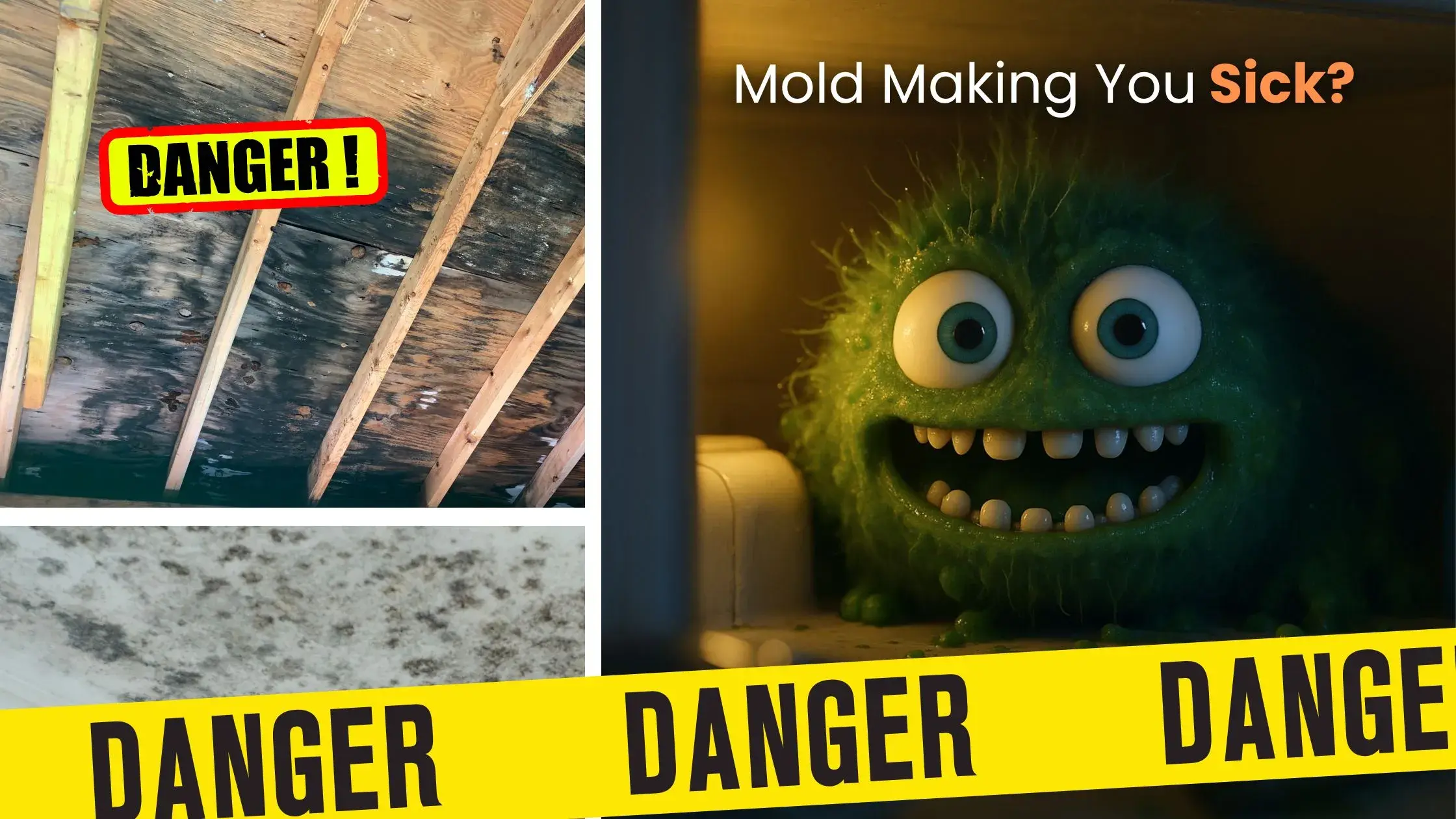How to Remove Mold: Complete Guide Plus Prevention Tips